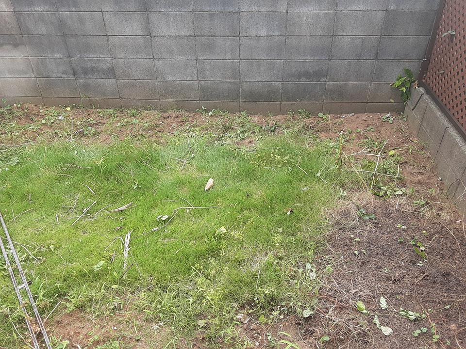 15/23 その他画像