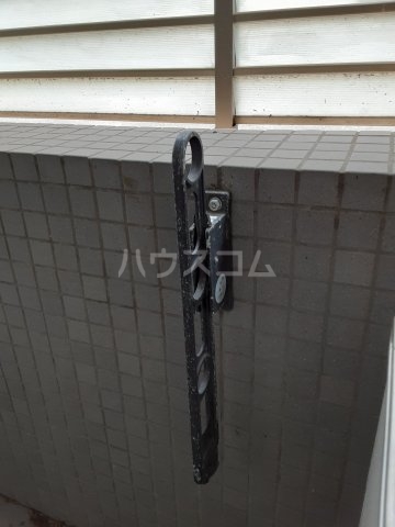 25/29 その他画像