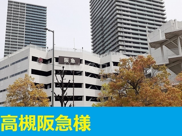20/30 周辺