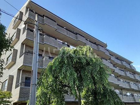 2/30 外観