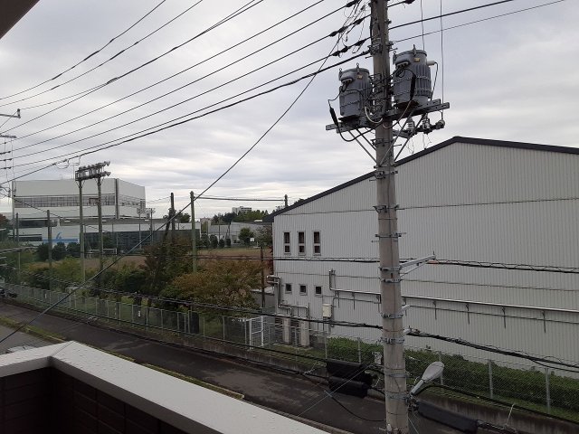 20/30 その他画像