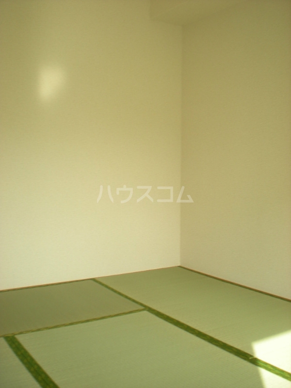 25/30 その他画像