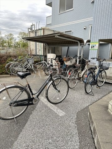 20/30 その他画像