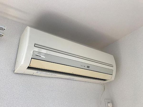 その他共有