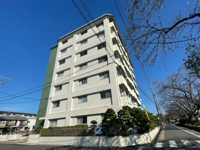 2/29 外観