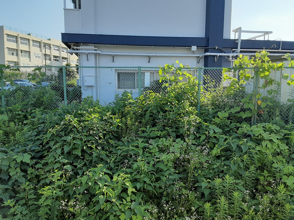 18/28 その他画像