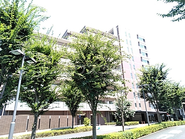 13/30 その他画像