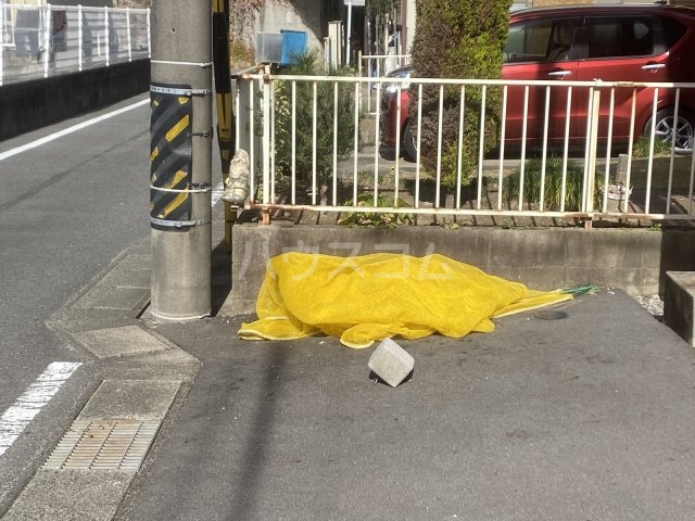 20/30 その他画像