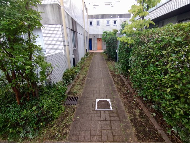 19/24 その他画像