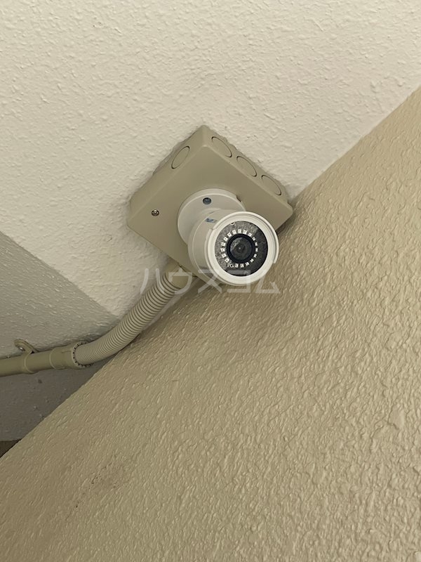 25/28 その他画像