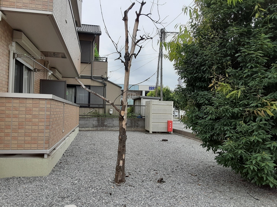 16/27 その他画像