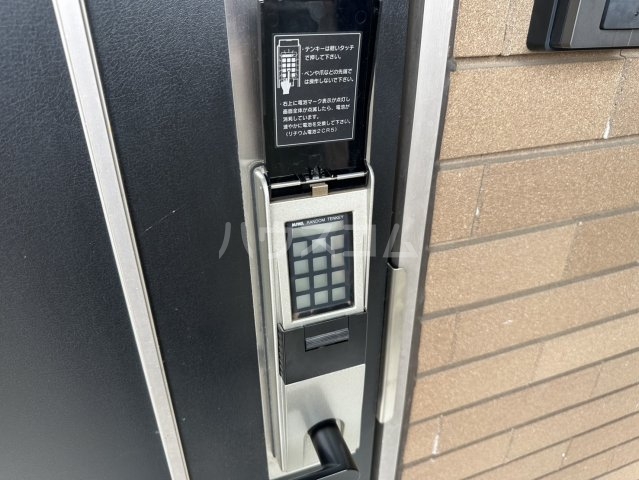 25/30 その他画像