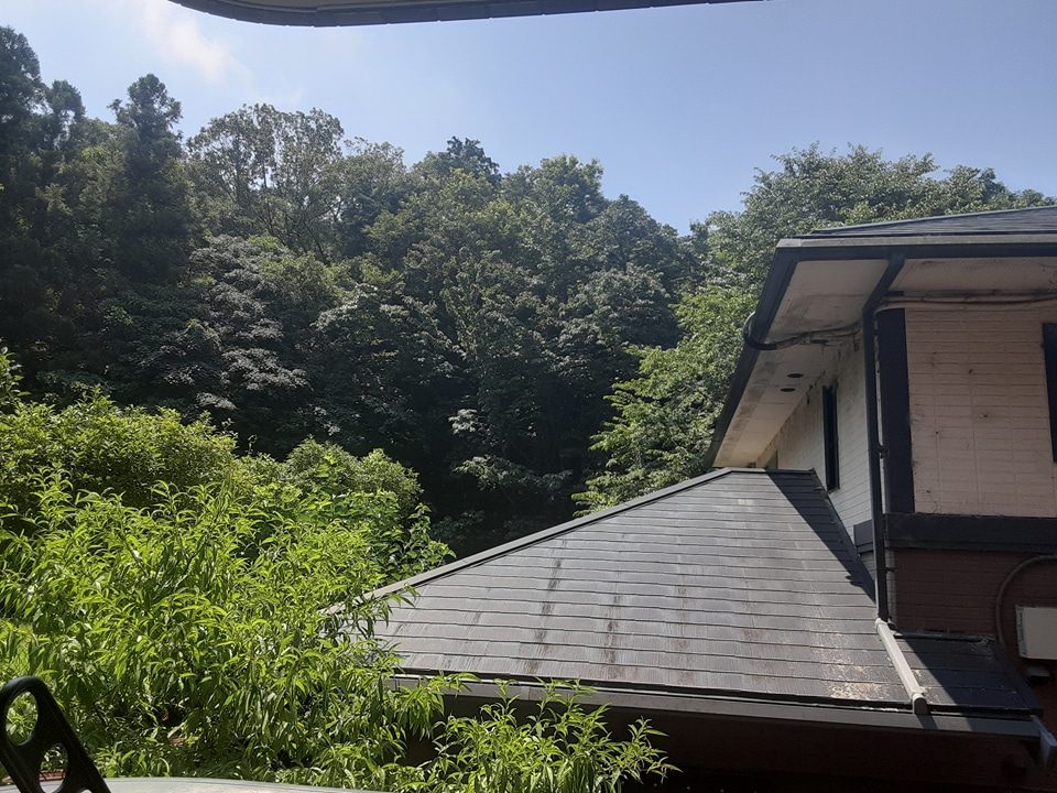 23/29 その他画像