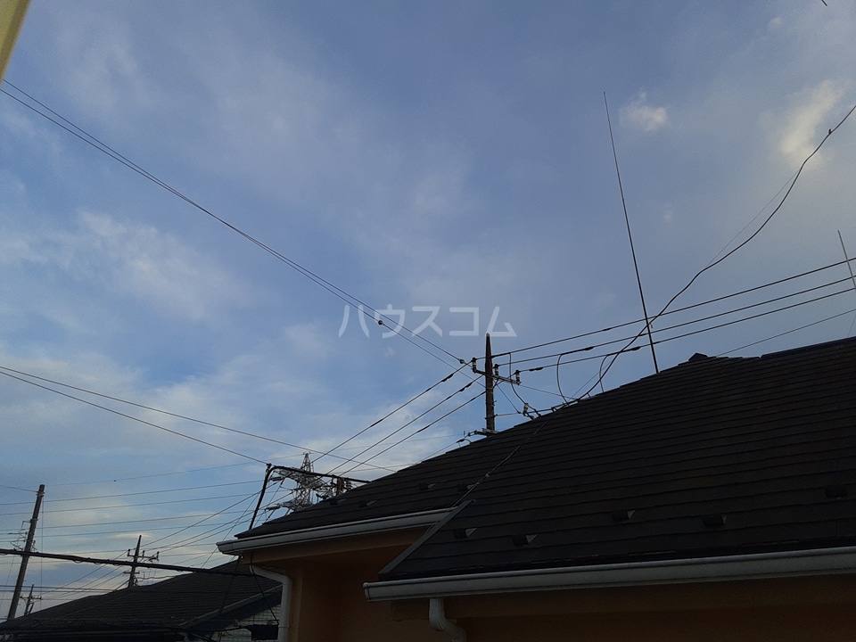 20/30 その他画像
