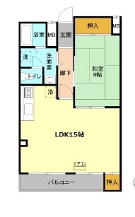 2/24 間取