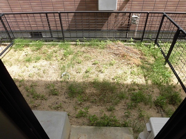 17/29 その他画像