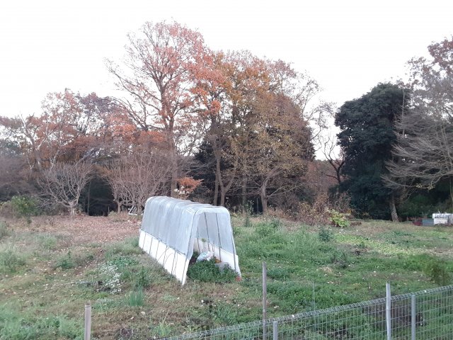 15/30 その他画像