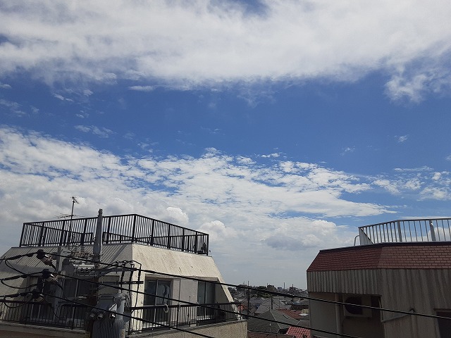 16/24 その他画像