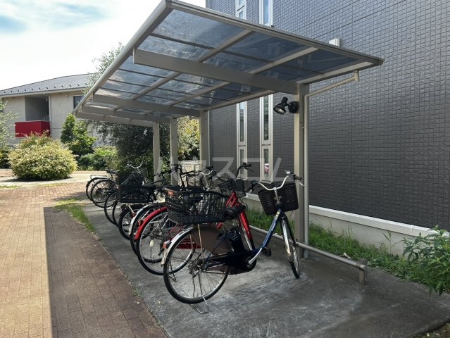 11/22 その他画像