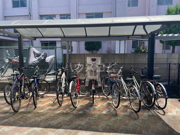 20/30 その他画像