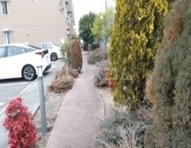 11/24 その他画像