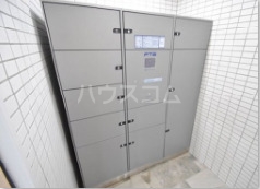 20/30 その他画像