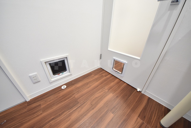 29/30 その他画像