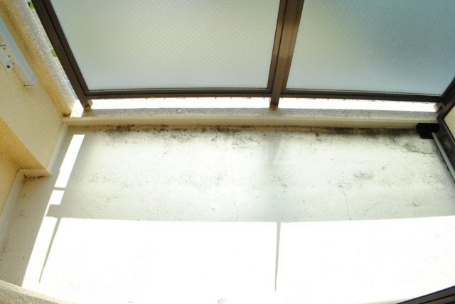 13/24 その他画像