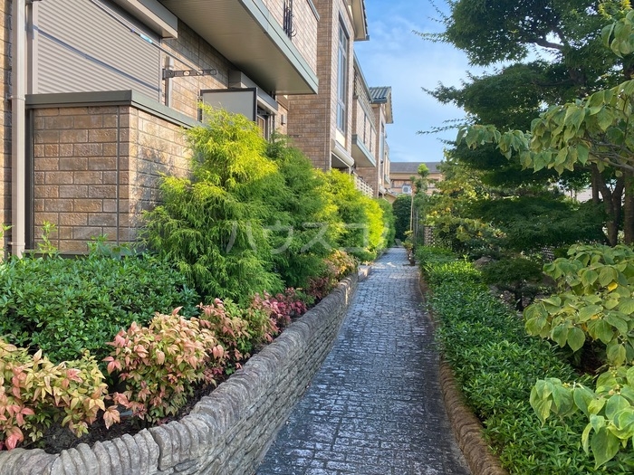 9/16 その他画像