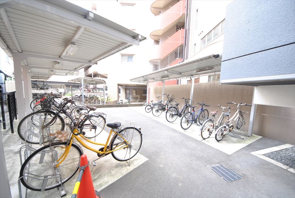 17/25 その他画像