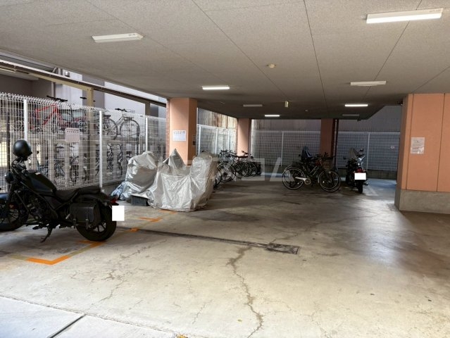 20/30 その他画像