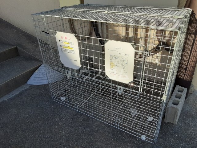 22/27 その他画像