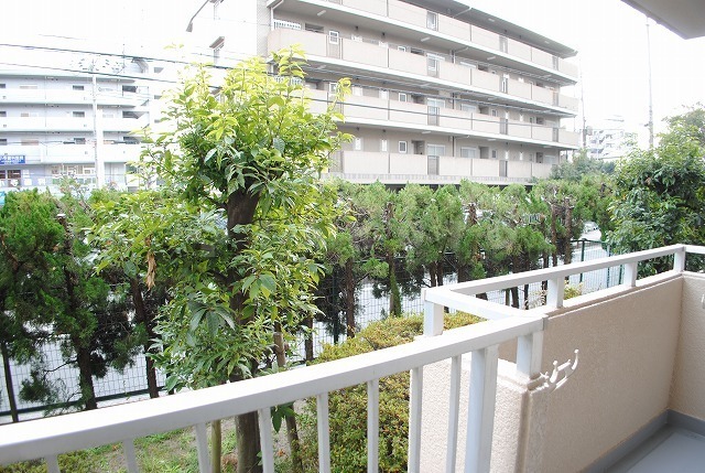 12/25 その他画像