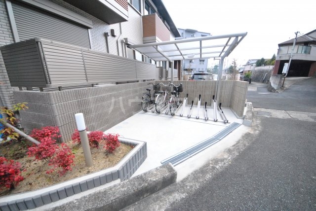 3/15 その他画像