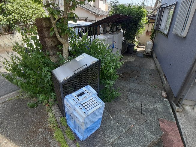 19/29 その他画像