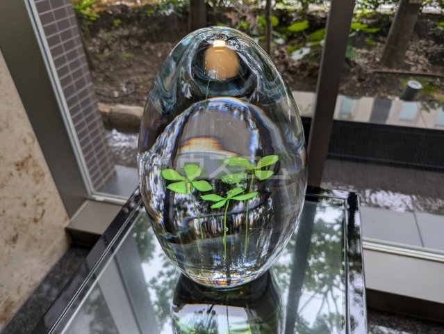 29/30 エントランス