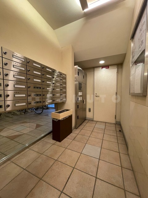 21/29 その他画像