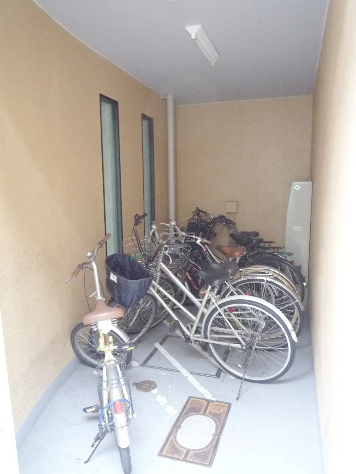 25/30 その他画像