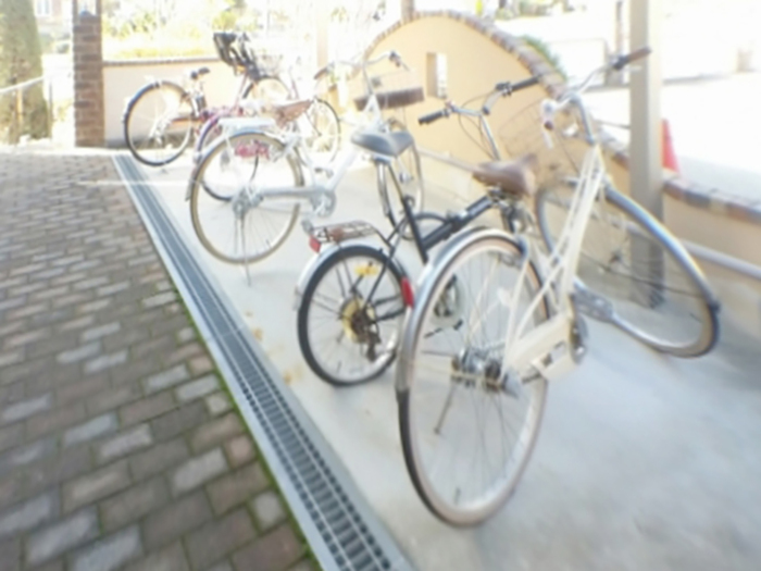 その他画像