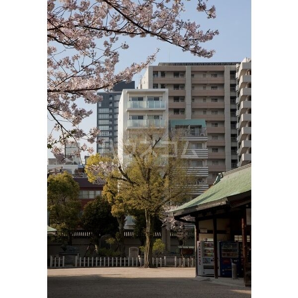 20/27 その他画像