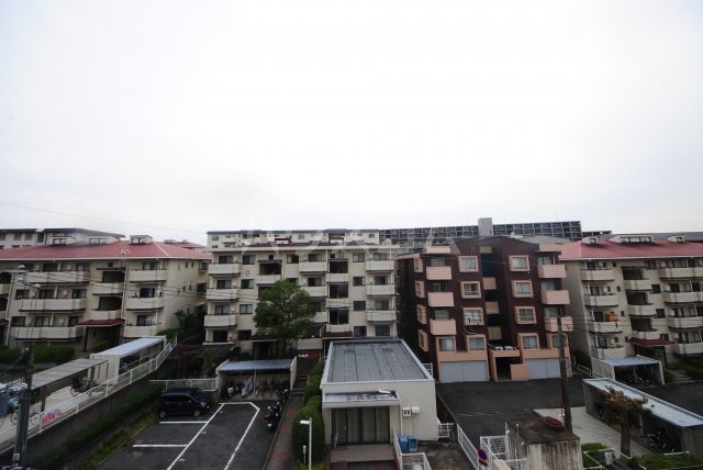 20/25 その他画像