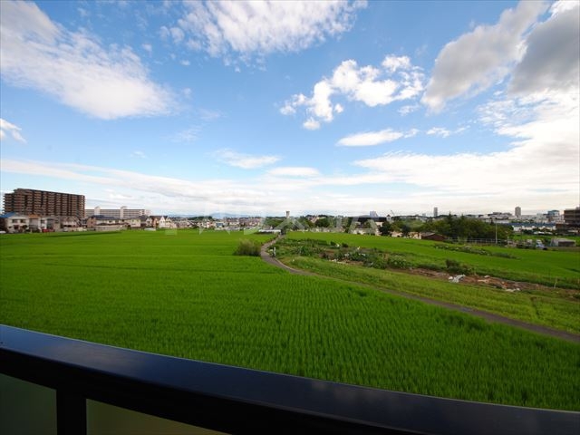 17/23 その他画像