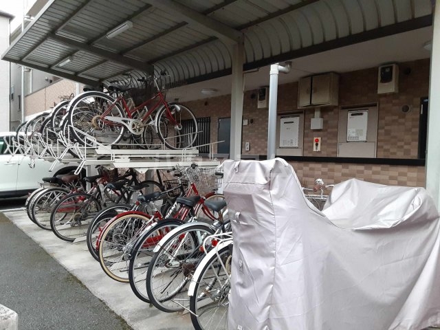 17/30 その他画像