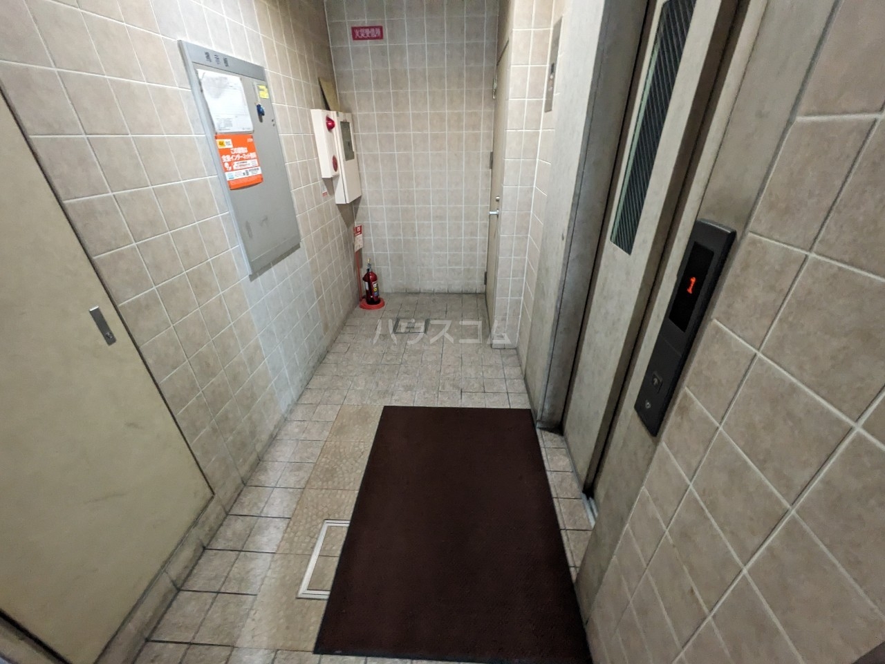 19/28 その他画像