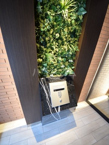 2/11 エントランス