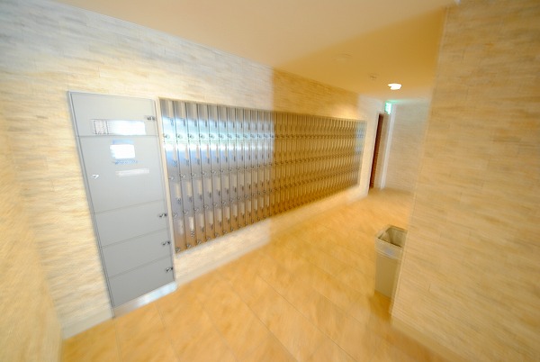 15/29 その他画像