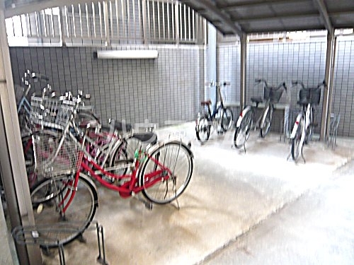 15/19 その他画像