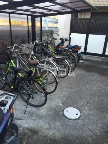 20/30 その他画像