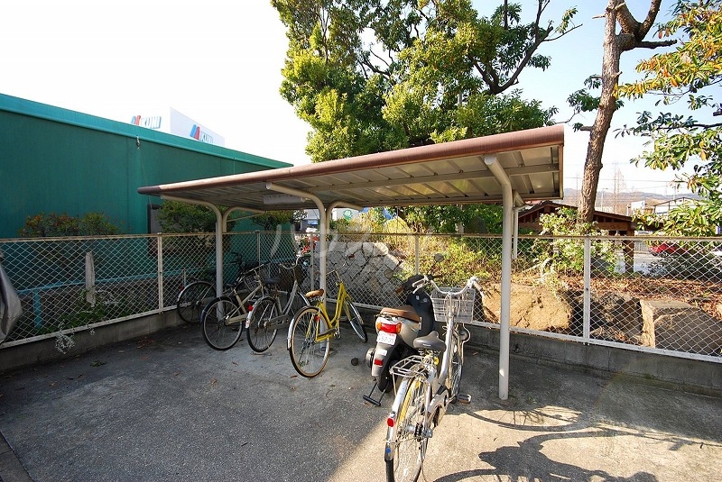 19/25 その他画像