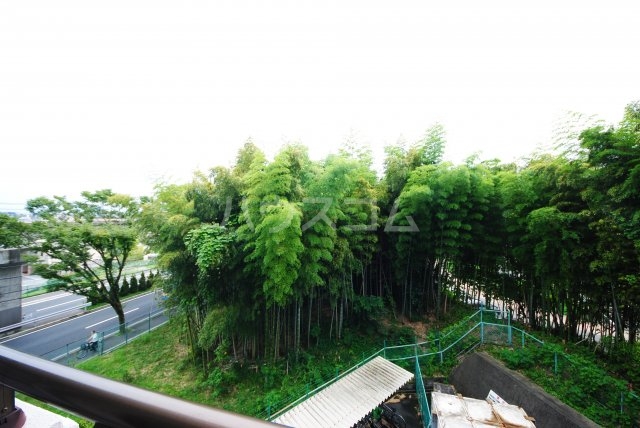 13/19 その他画像